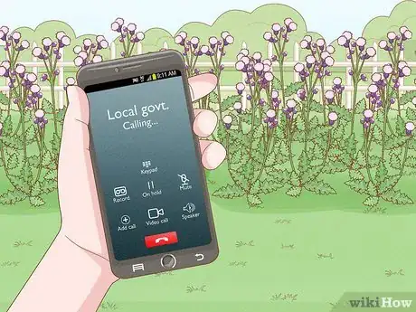 Image titled Get Rid of Canadian Thistles Step 10