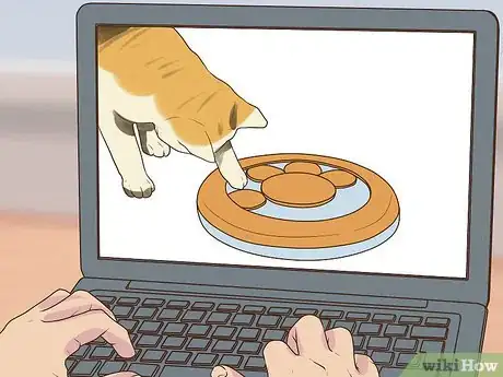 Image titled Care for an American Curl Cat Step 2