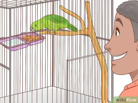 Image titled Choose an Amazon Parrot Step 11