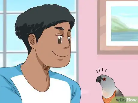 Image titled Handle a Scared Red Bellied Parrot Step 2