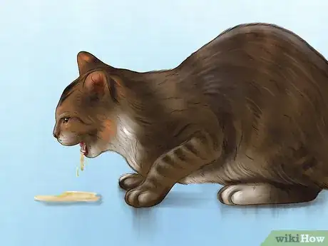 Image titled Know if Your Cat Needs Gluten‐Free Food Step 4