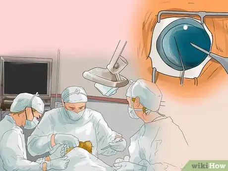 Image titled Diagnose Entropion in Boxers Step 9