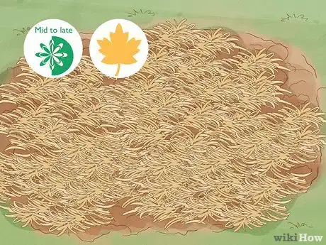 Image titled What Mulch Is Good for a Vegetable Garden Step 10