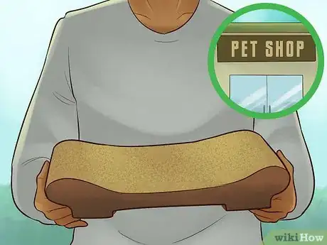 Image titled Catify Your Room Step 13