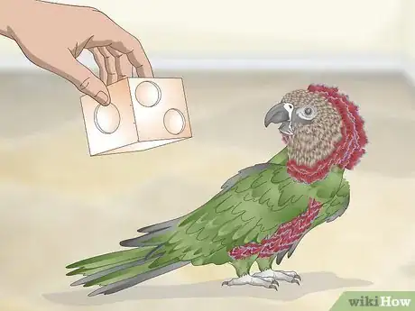 Image titled Handle an Aggressive Hawk Headed Parrot Step 9