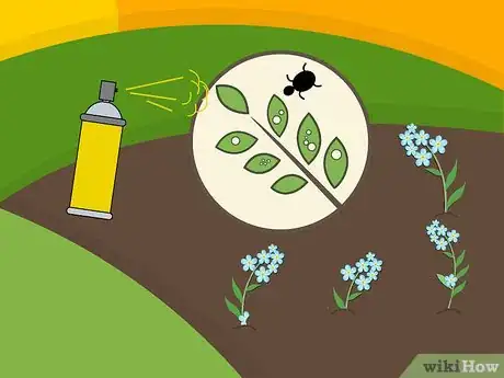 Image titled Plant Forget Me Not Seeds Step 14