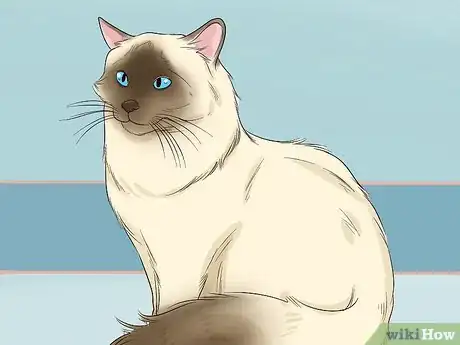 Image titled Choose a Hypoallergenic Cat Breed Step 3