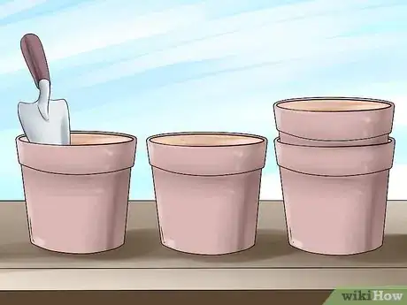 Image titled Divide a Lavender Plant Step 8