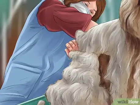 Image titled Rehome a Rescue Dog Step 18