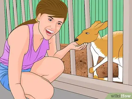 Image titled Visit Busch Gardens Tampa Step 46