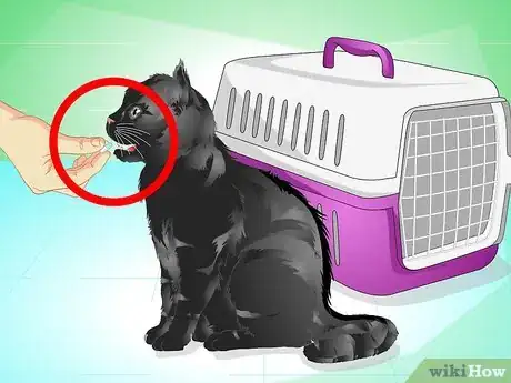 Image titled Introduce a Cat to a New Home Step 4