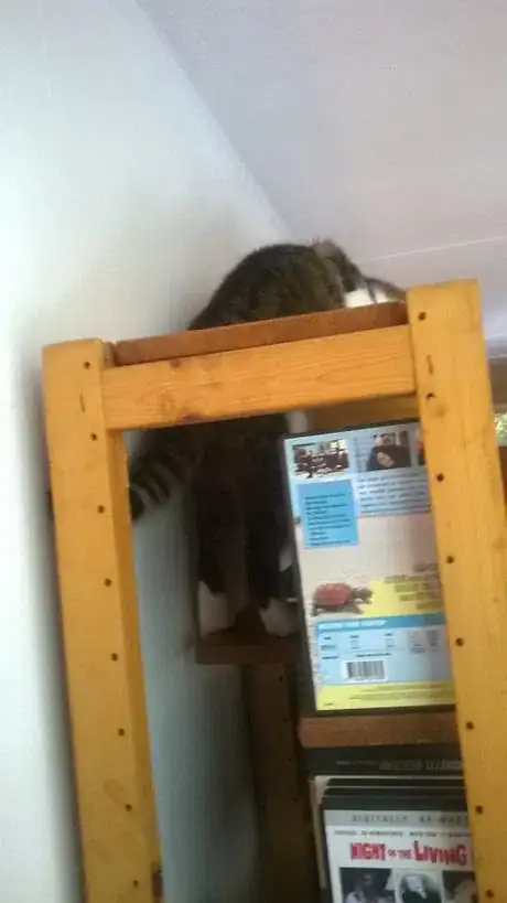 Image titled WP_20140805_007