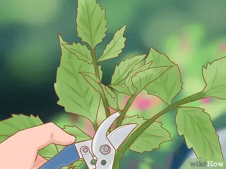 Image titled Prune Flowers Step 6