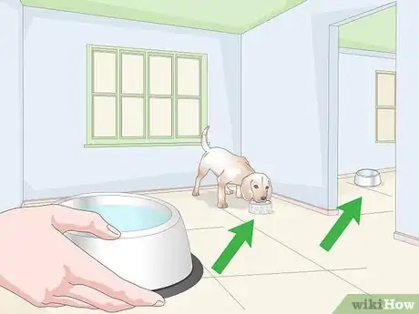 Image titled Keep a Dog Hydrated Step 6