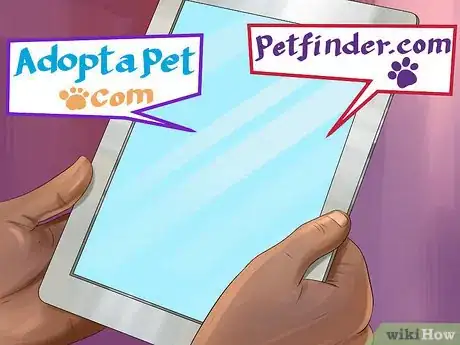 Image titled Find and Care for a Australian Shepherd Step 4