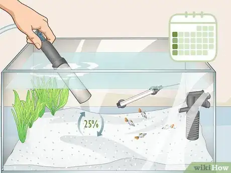 Image titled Avoid Algae in an Aquarium Step 5