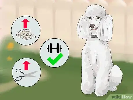 Image titled Choose a Dog That's Easy to Train Step 3
