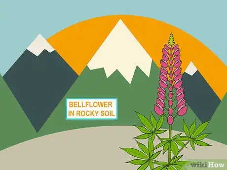 Image titled Plant in Poor Soils Step 13