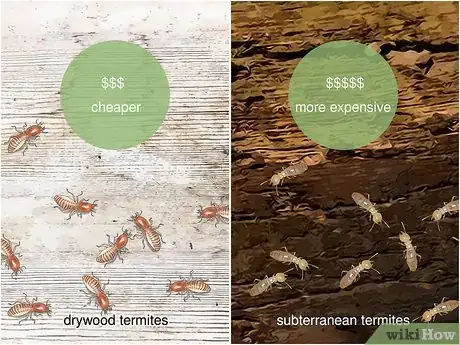 Image titled How Much Does It Cost to Get Rid of Termites Step 3