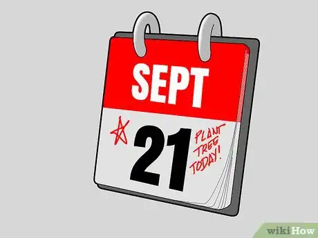 Image titled Plant Pine Trees Step 3