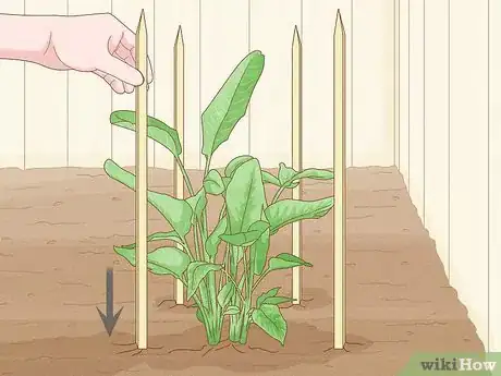 Image titled Cover Plants in the Winter Step 3