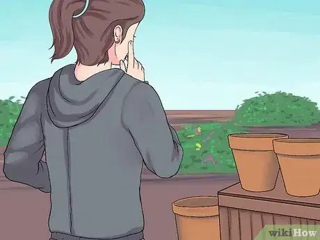 Image titled Grow Petunias Step 3