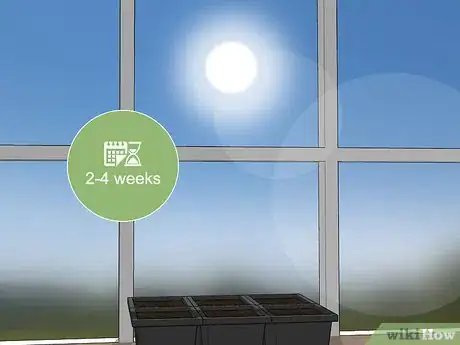 Image titled Grow Evergreen Trees Step 6