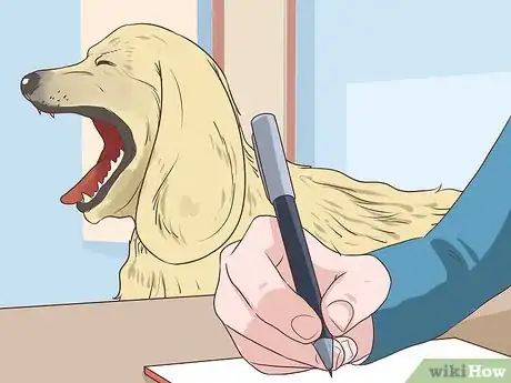 Image titled Diagnose Cardiac Disease in Senior Dogs Step 1