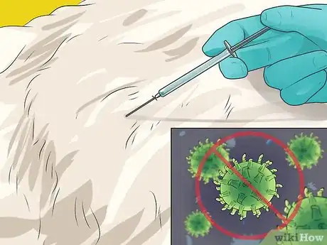 Image titled Prevent Canine Leptospirosis Step 2