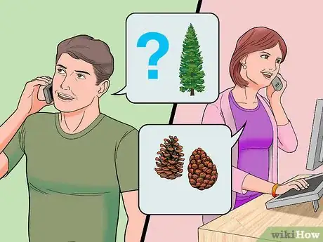 Image titled Plant Pine Trees Step 1