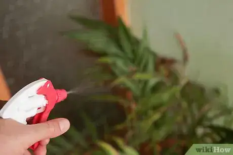 Image titled Use Leftover Green Tea Leaves Step 5