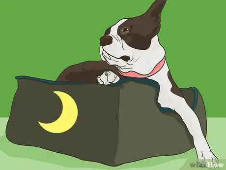 Image titled Handle Holiday Travel with Your Pet Step 15