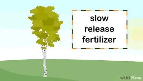 Image titled Grow Birch Trees Step 22