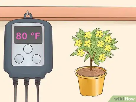 Image titled Grow in a Greenhouse Step 3