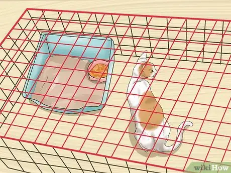 Image titled Treat a Limping Cat Step 10