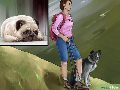Image titled Know if You Are Ready for a Dog Step 28