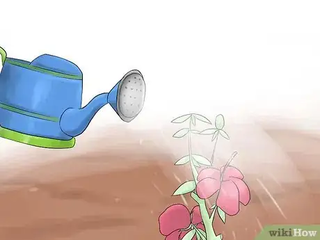 Image titled Grow Swamp Hibiscus Step 12