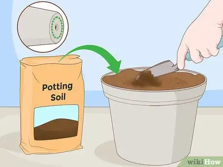 Image titled Water Carnations Step 5