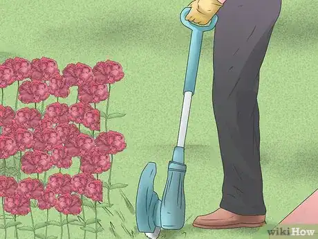 Image titled Grow Poppies Step 11