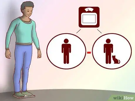 Image titled Get an Overweight Senior Cat to Lose Weight Step 9