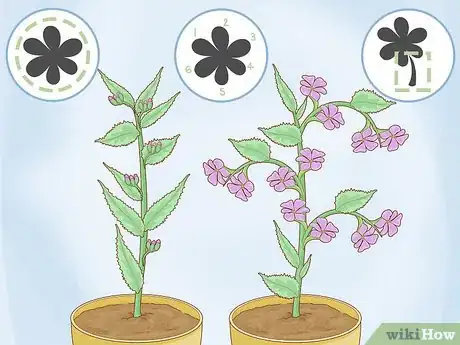 Image titled Identify a Houseplant Step 2