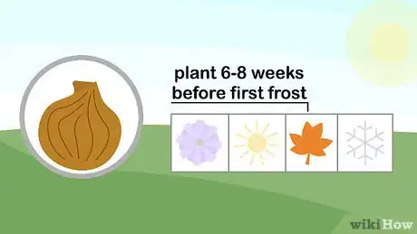 Image titled Plant a Sun Lover Step 5