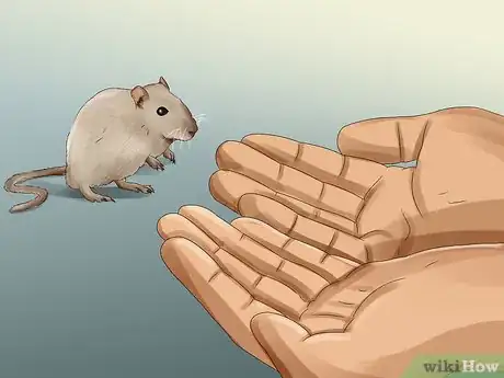 Image titled Catch a Gerbil on the Loose Step 9