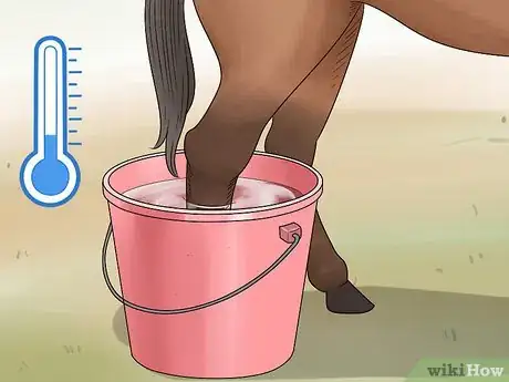 Image titled Handle Hind Leg Problems in Horses Step 7
