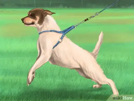 Image titled Calm Down a Playful Large Dog Step 7