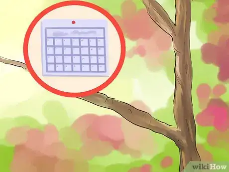 Image titled Prune a Redbud Tree Step 11