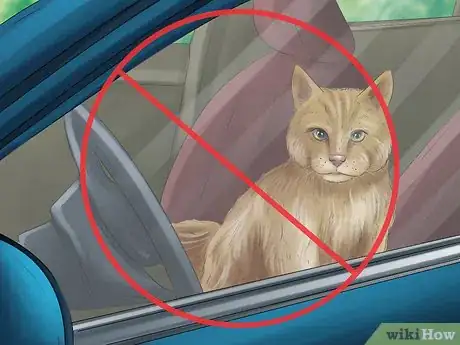 Image titled Protect Your Cat in Summer Step 6