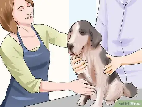 Image titled Groom a Hyper Dog Step 9