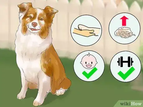 Image titled Choose a Dog That's Easy to Train Step 6
