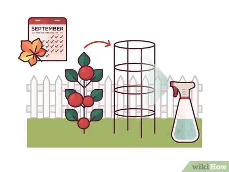 Image titled Stake Tomato Plants Step 14